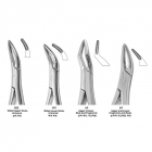 [Young Dent] Root Forcep